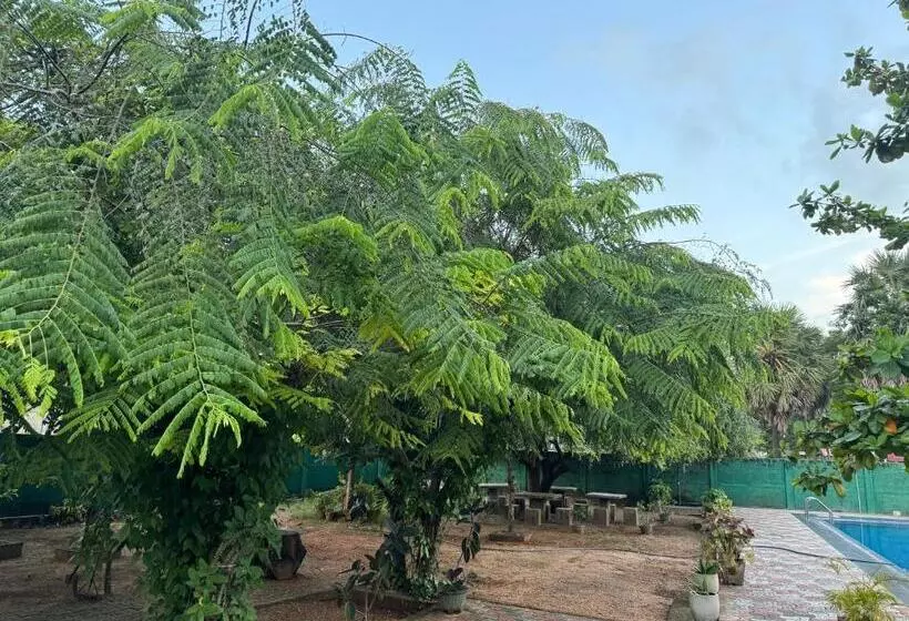 پانسیون Paris Garden Resort