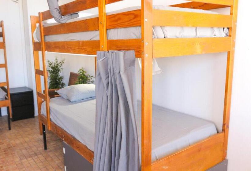 هاستل Ocean Nomads Coworking