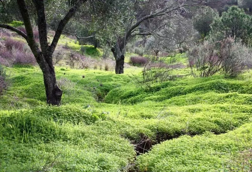 ペンション Varandas Do Vale Furnazinhas