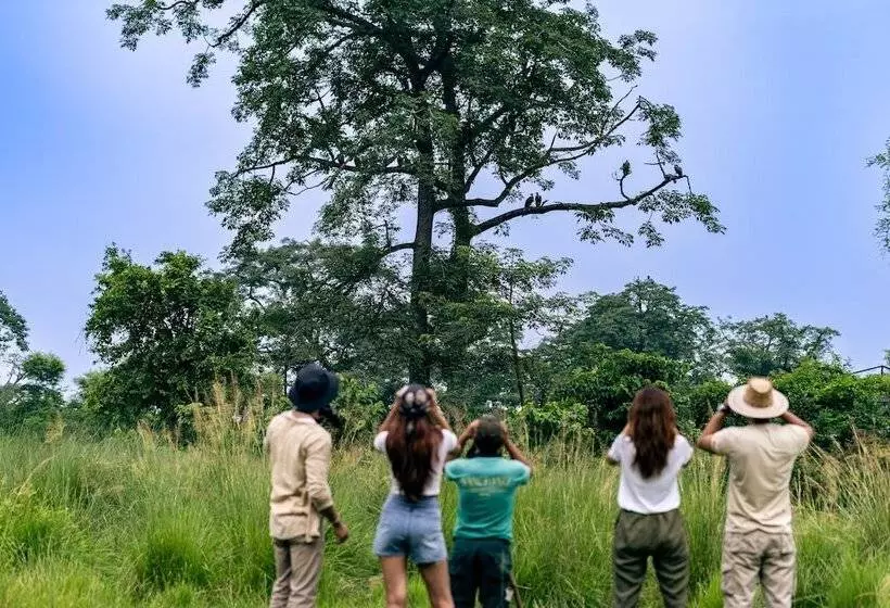 استراحتگاه Sanctuary   Chitwan National Park , Nepal