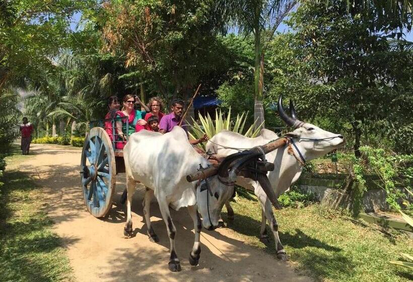 استراحتگاه Sanctuary   Chitwan National Park , Nepal