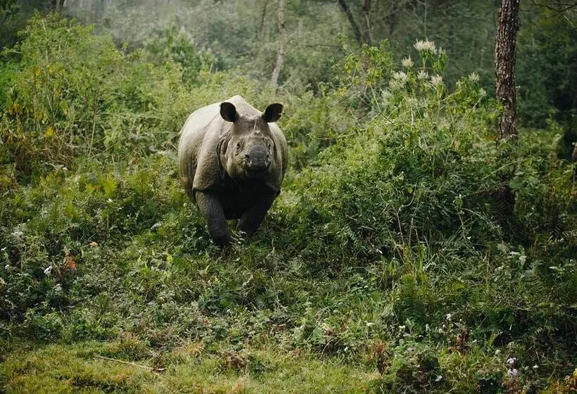 استراحتگاه Sanctuary   Chitwan National Park , Nepal