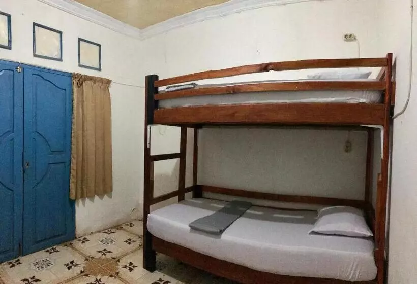 The House Hostel