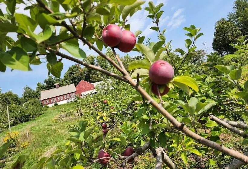 ベッドアンドブレックファースト Centennial House
