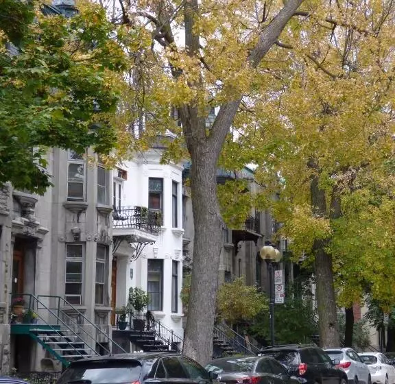 住宿加早餐  Gingerbread Manor