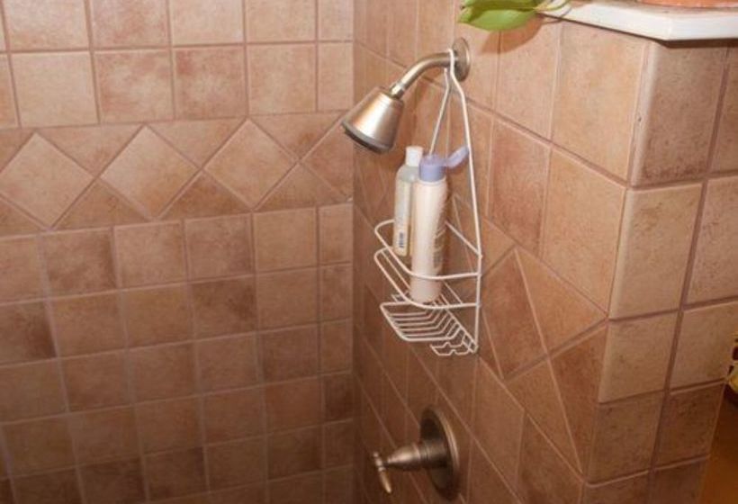 住宿加早餐  Meadow View Farm