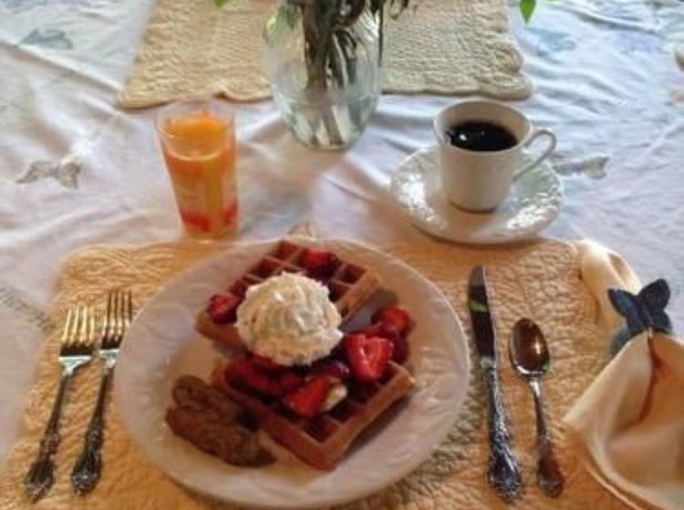 住宿加早餐  Meadow View Farm