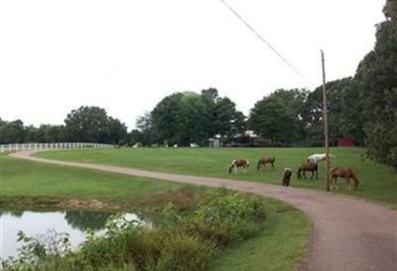 住宿加早餐  Meadow View Farm