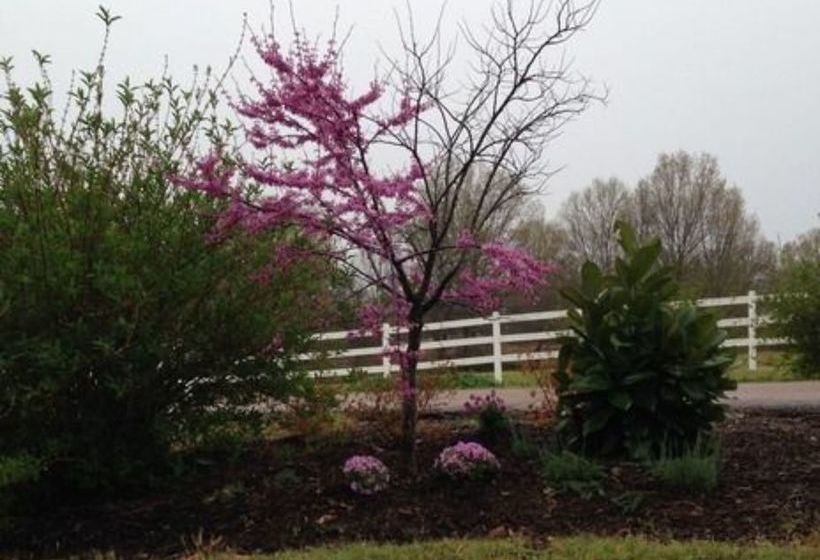 住宿加早餐  Meadow View Farm