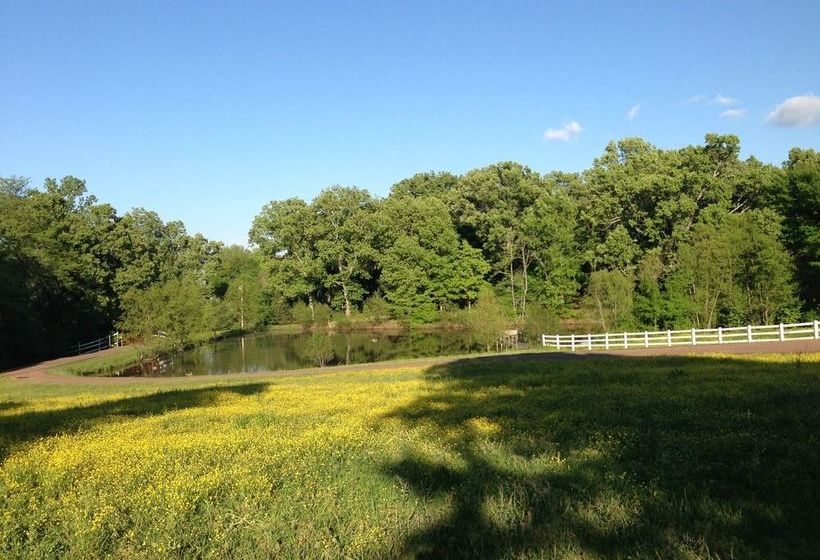 住宿加早餐  Meadow View Farm