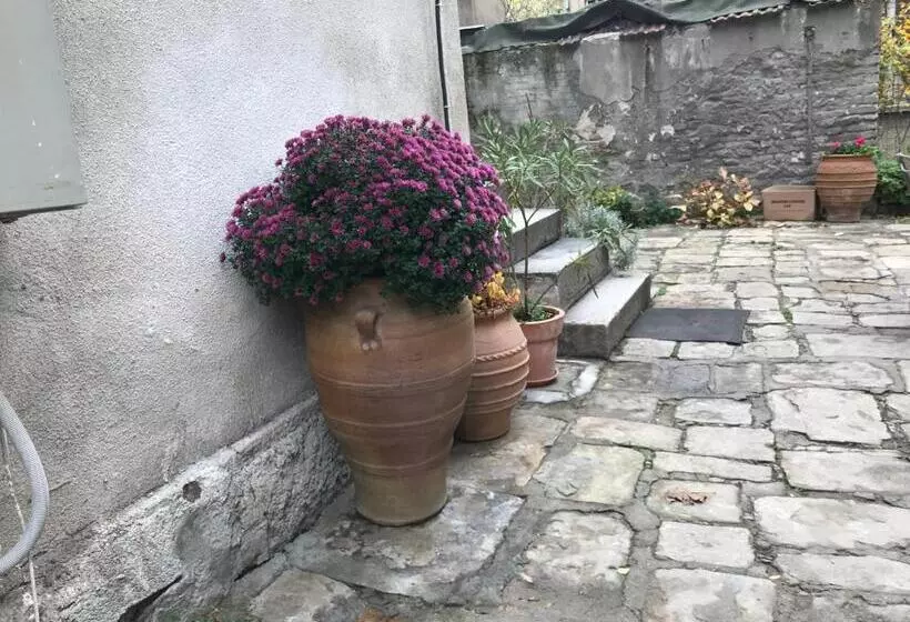 住宿加早餐  Orient Express Guest House