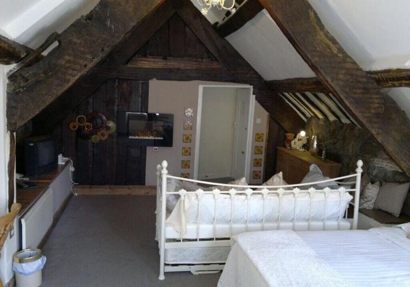 住宿加早餐  Plas Dolmelynllyn Country