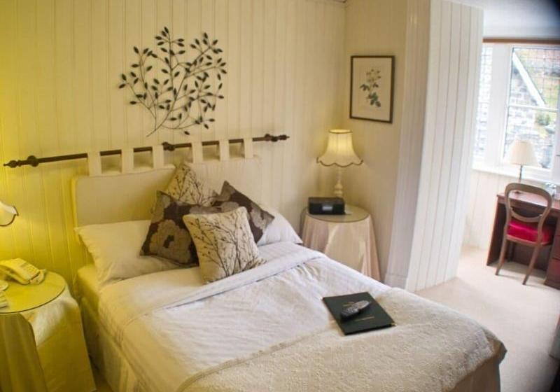 住宿加早餐  Plas Dolmelynllyn Country