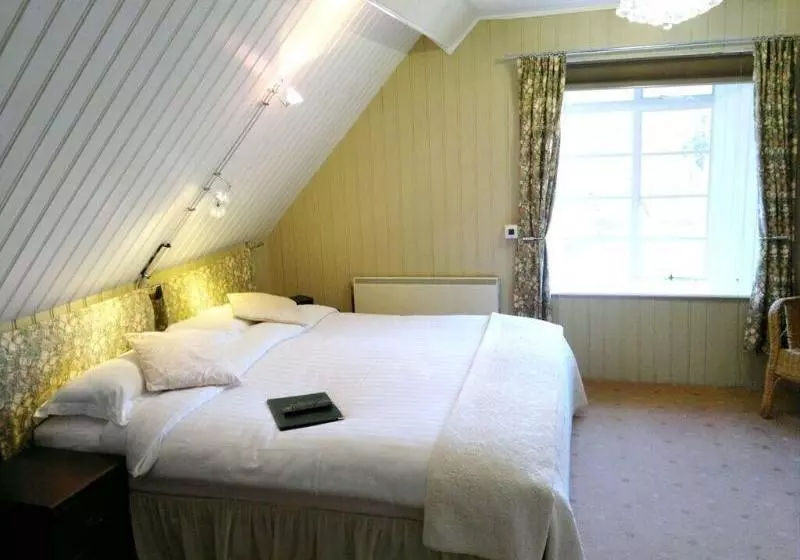 Bed and Breakfast Plas Dolmelynllyn Country