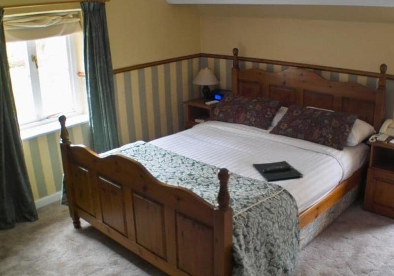 住宿加早餐  Plas Dolmelynllyn Country