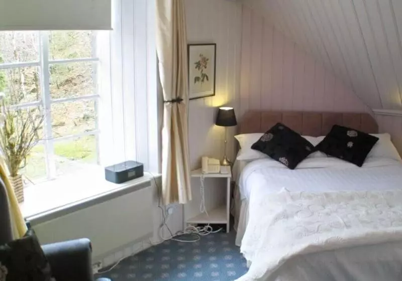 Bed and Breakfast Plas Dolmelynllyn Country