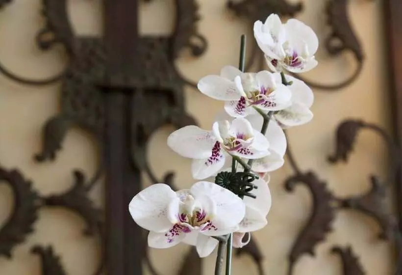 민박 Scranton Seahorse Inn