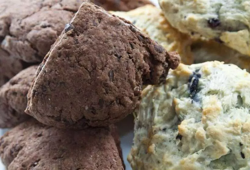 민박 Scranton Seahorse Inn