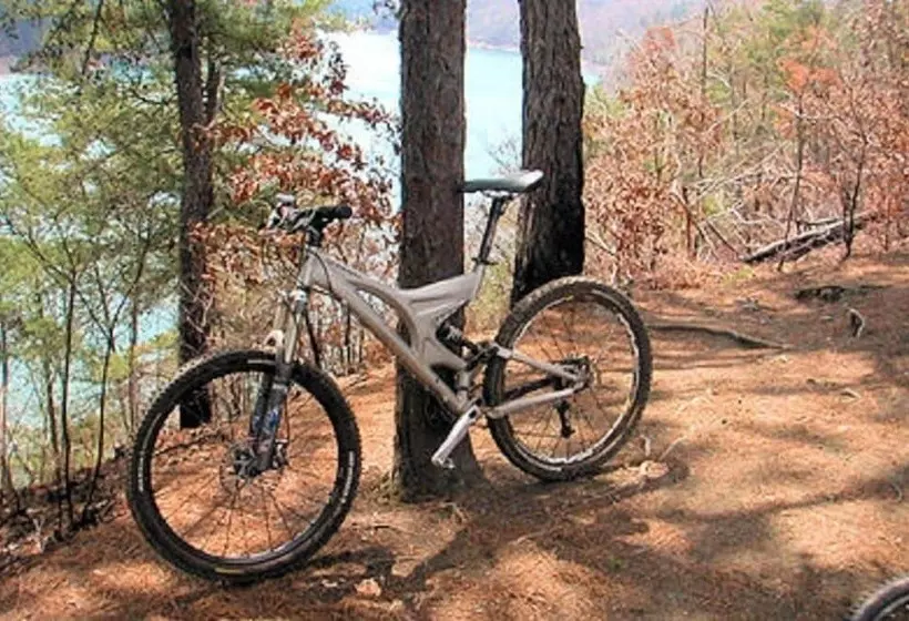 Brookside Mountain Mist Inn B&b