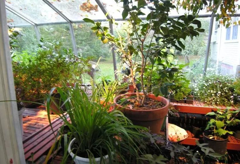 Delano Homestead Bed And Breakfast