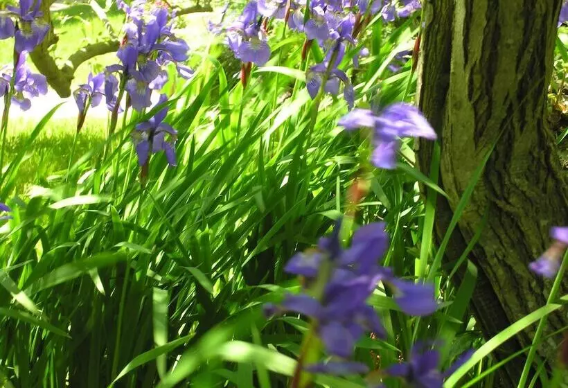 Delano Homestead Bed And Breakfast