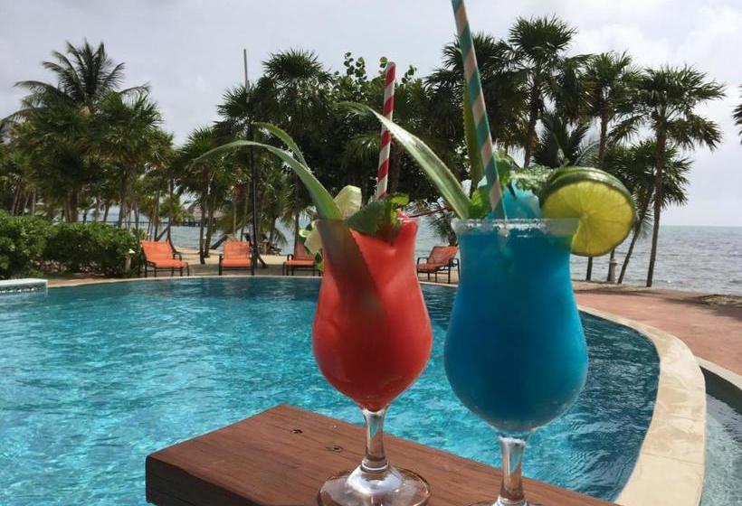 ホテル Laru Beya All Inclusive Resort