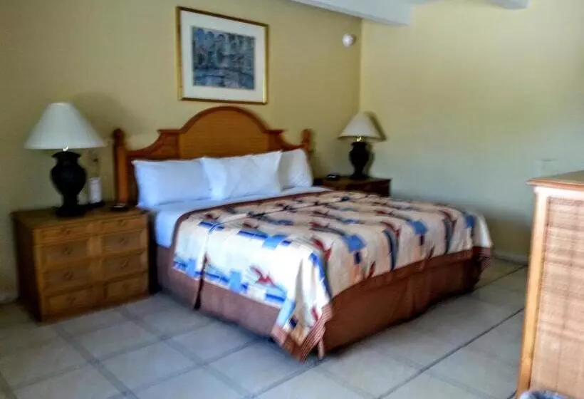 모텔 Budget Lodge Mount Dora