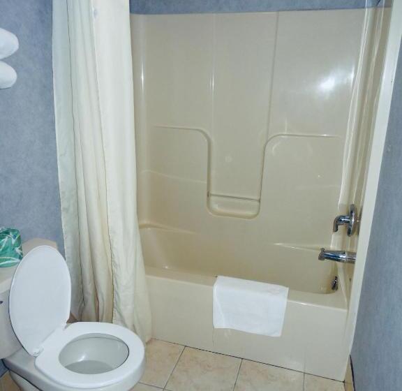 فندق على الطريق Village Inn And Suites