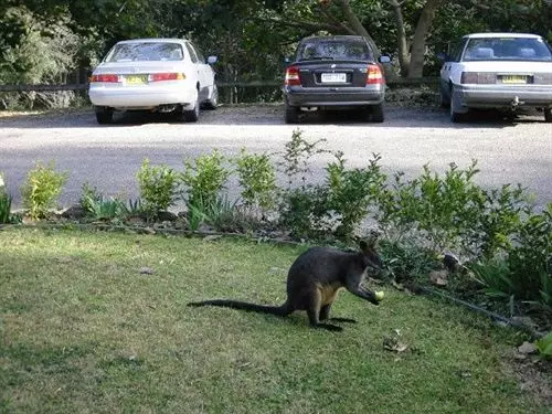 ペンション Chalet Swisse Spa