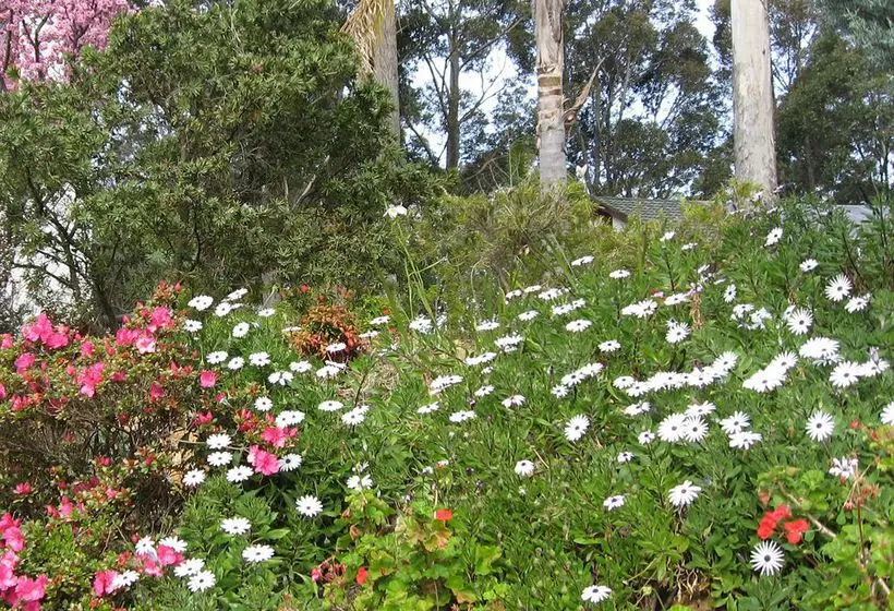 ペンション Chalet Swisse Spa