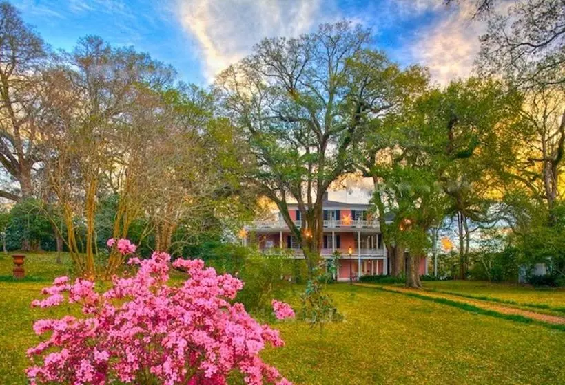 The Elms Bed And Breakfast