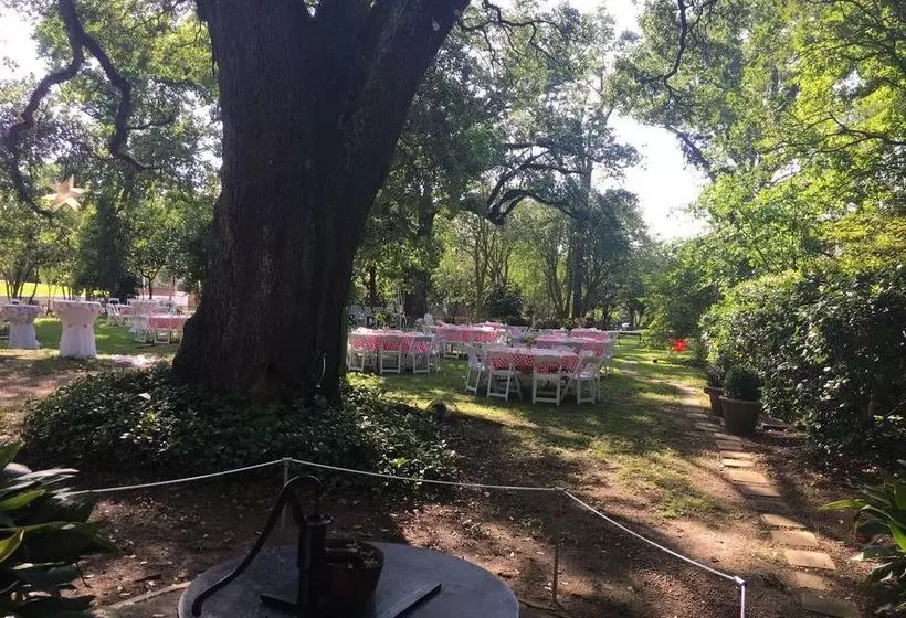 The Elms Bed And Breakfast