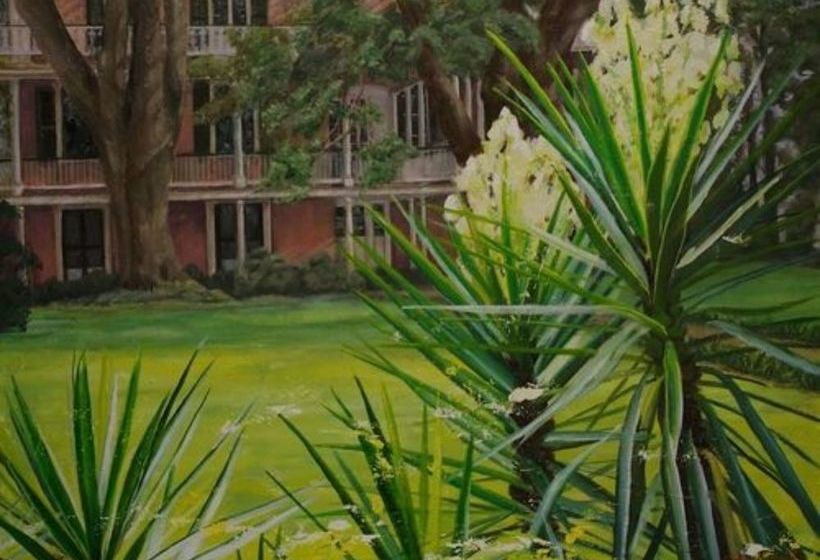 The Elms Bed And Breakfast