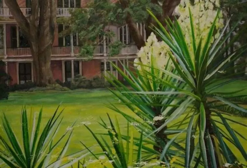 The Elms Bed And Breakfast