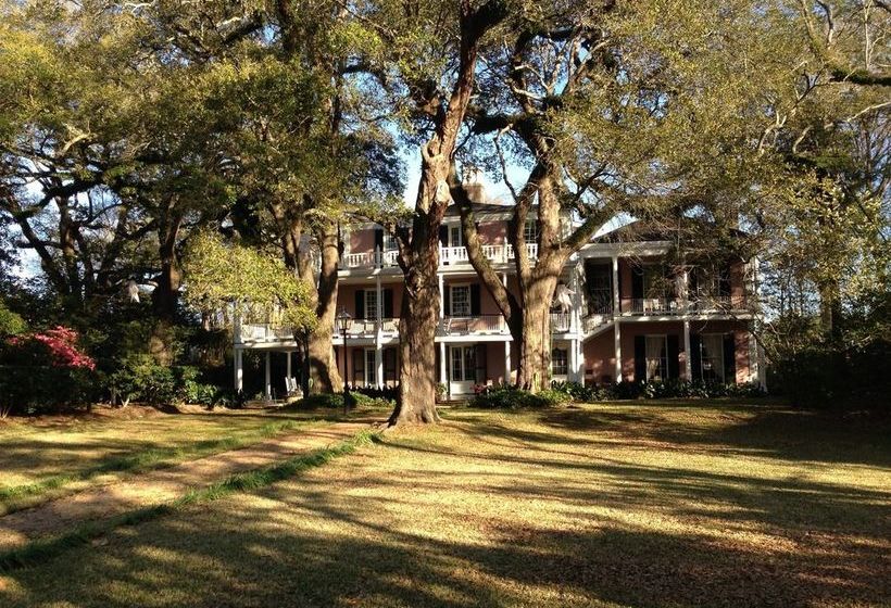 The Elms Bed And Breakfast