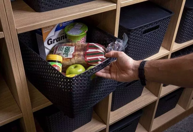 هاستل Lylo Auckland