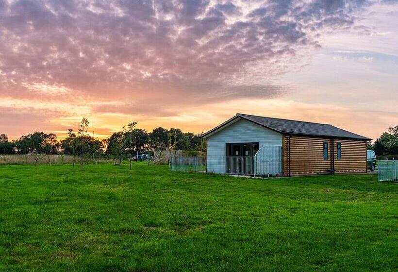 אתר נופש Flaxton Meadows Luxury Lodges