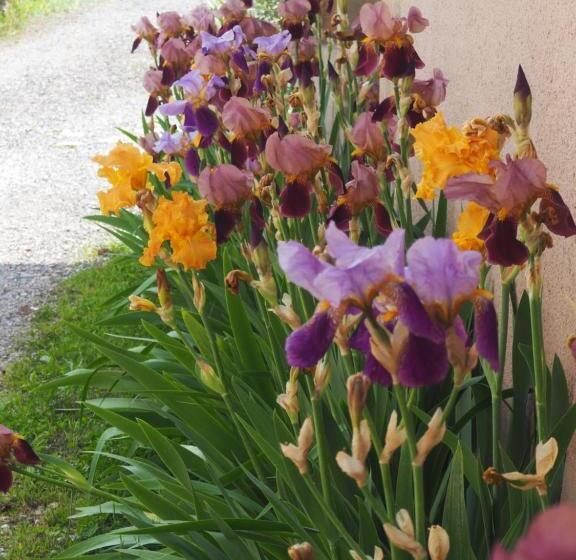 ベッドアンドブレックファースト Chambres D Hôtes Du Ruisseau D Argent