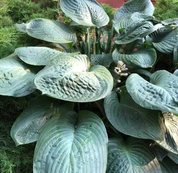 ホテル Agroturystyka Czekaj