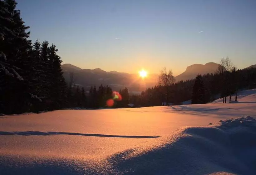 ホテル Boutique Pension Jägerwirt