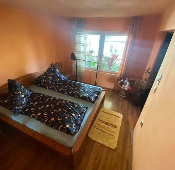 ペンション Casa Otilia