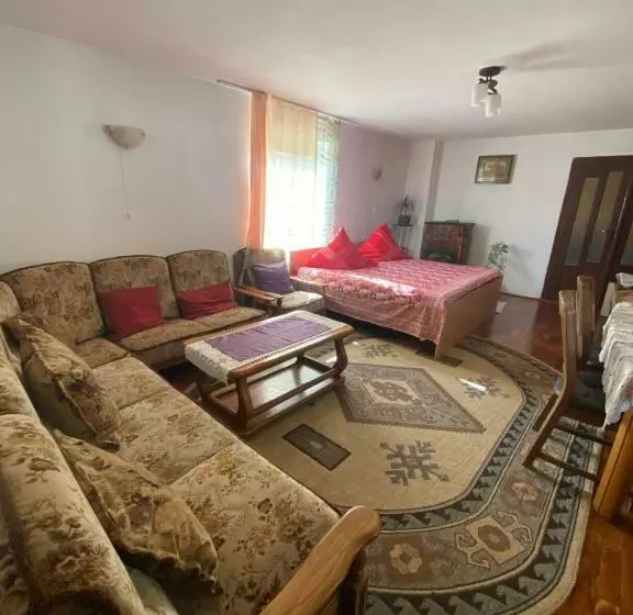 ペンション Casa Otilia