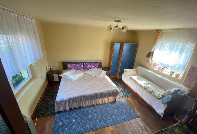 بنسيون Casa Otilia