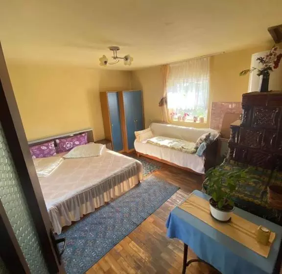 ペンション Casa Otilia