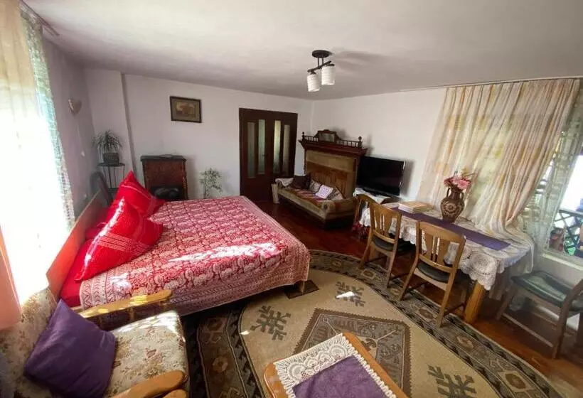 ペンション Casa Otilia