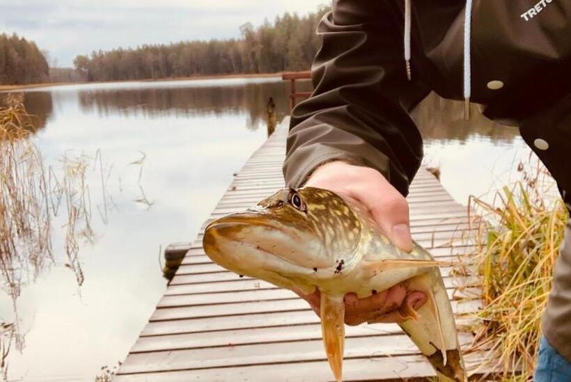 膳宿费 Leśniczówka Szeroki Bór