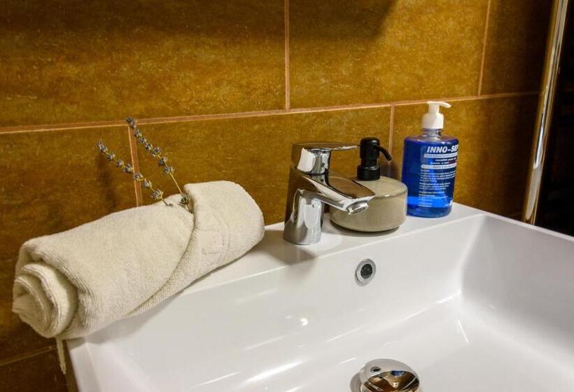 Пансион Tulipán Vendégház