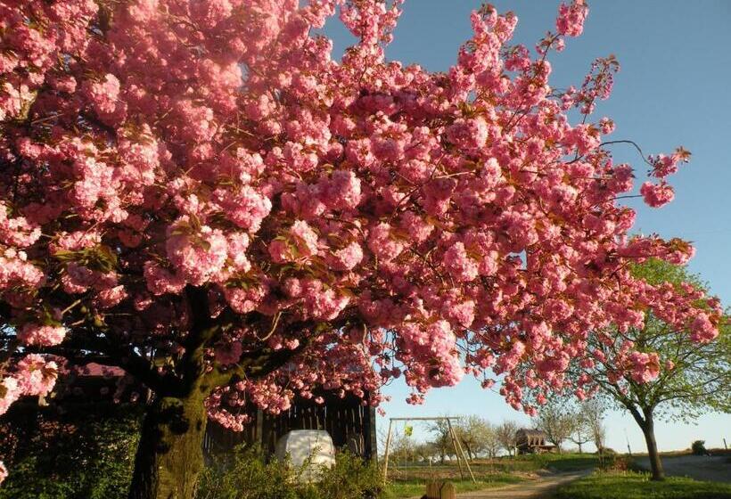 ベッドアンドブレックファースト La Raymondiere