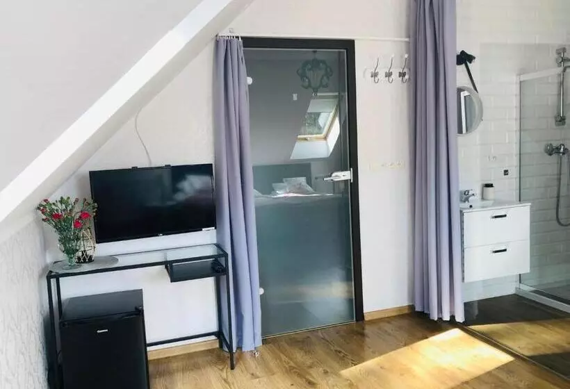 ベッドアンドブレックファースト Saskia Dwór & Spa Willa Z Podgrzewanym Basenem