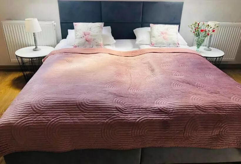 ベッドアンドブレックファースト Saskia Dwór & Spa Willa Z Podgrzewanym Basenem